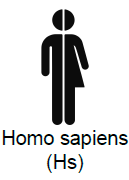 Human