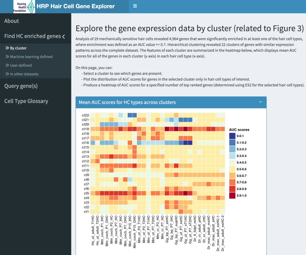 Hair cell gene explorer